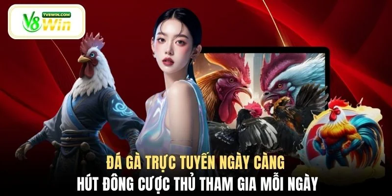Đá gà trực tuyến ngày càng hút đông cược thủ tham gia mỗi ngày