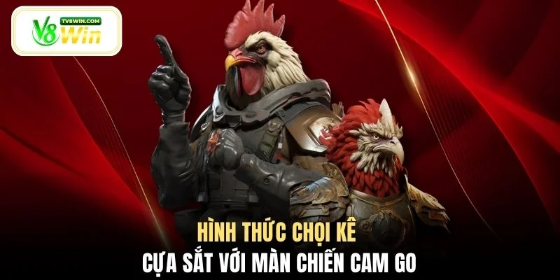 Hình thức chọi kê cựa sắt với màn chiến cam go