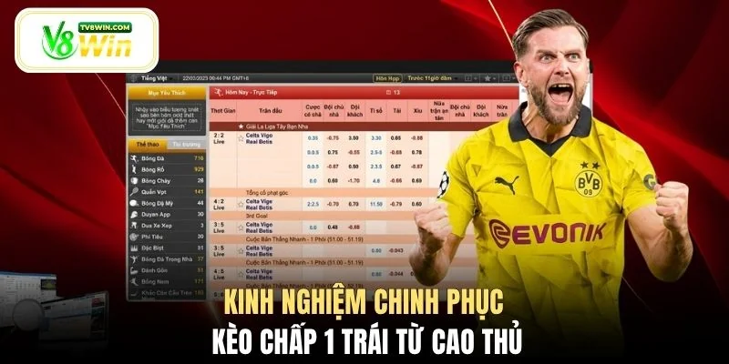 Kinh nghiệm chinh phục kèo chấp 1 trái từ cao thủ