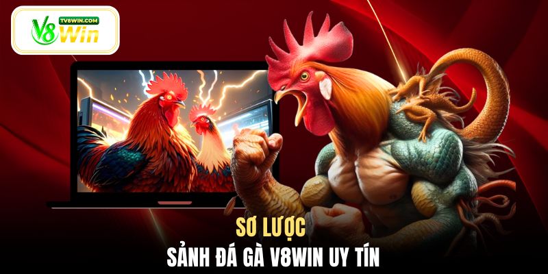 Sơ lược sảnh đá gà V8WIN uy tín
