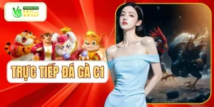 Trực Tiếp Đá Gà C1 - 90 Phút Không Rời Mắt Khỏi Diễn Biến